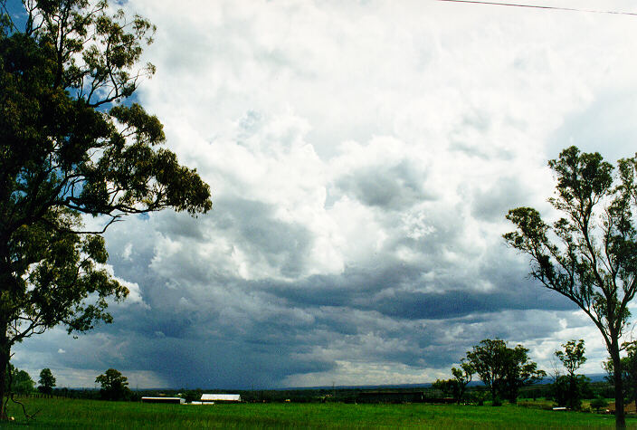 raincascade precipitation_cascade : Vineyard, NSW   29 January 1995