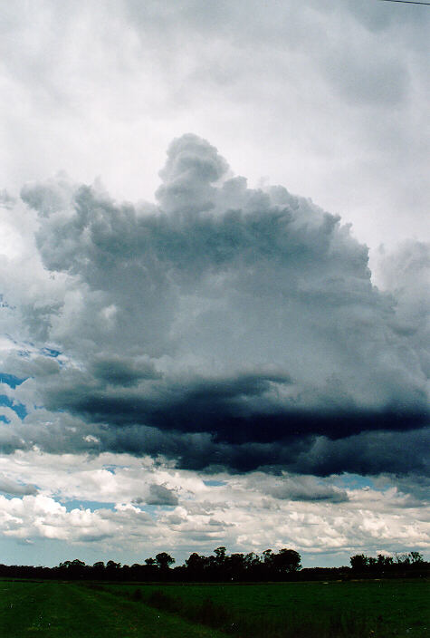 altostratus altostratus_cloud : Richmond, NSW   29 January 1995