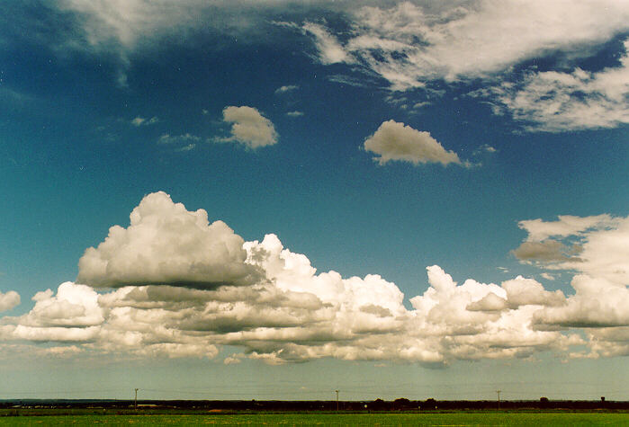 cumulus mediocris : Richmond, NSW   29 January 1995