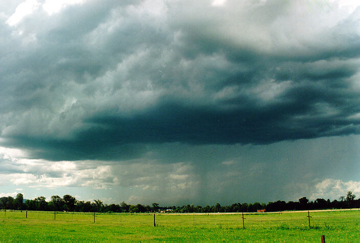 cumulonimbus thunderstorm_base : Richmond, NSW   29 January 1995