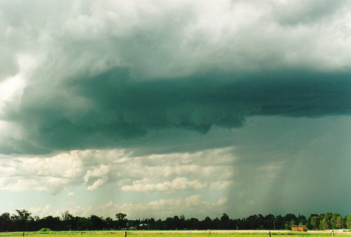 raincascade precipitation_cascade : Richmond, NSW   29 January 1995