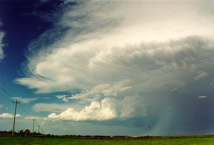 thunderstorm cumulonimbus_incus : Richmond, NSW   5 February 1995