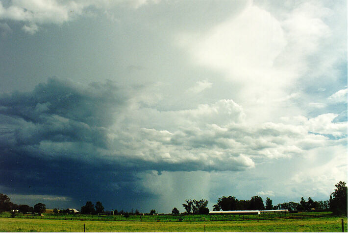 cumulonimbus thunderstorm_base : Richmond, NSW   5 February 1995
