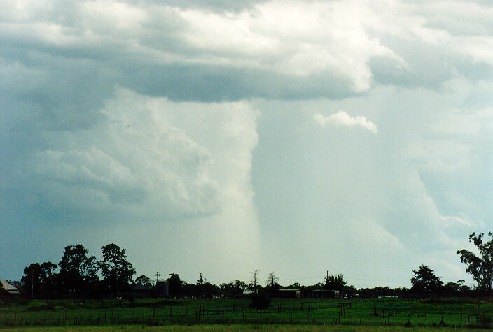 cumulonimbus thunderstorm_base : Richmond, NSW   5 February 1995