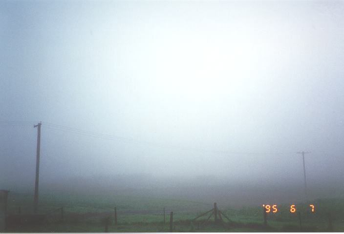 fogmist fog_mist_frost : Schofields, NSW   7 June 1995