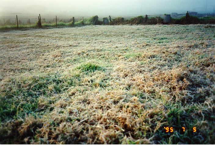 fogmist fog_mist_frost : Schofields, NSW   5 July 1995