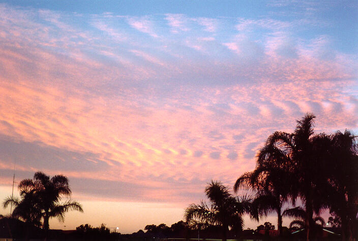 altocumulus undulatus : Oakhurst, NSW   11 July 1995