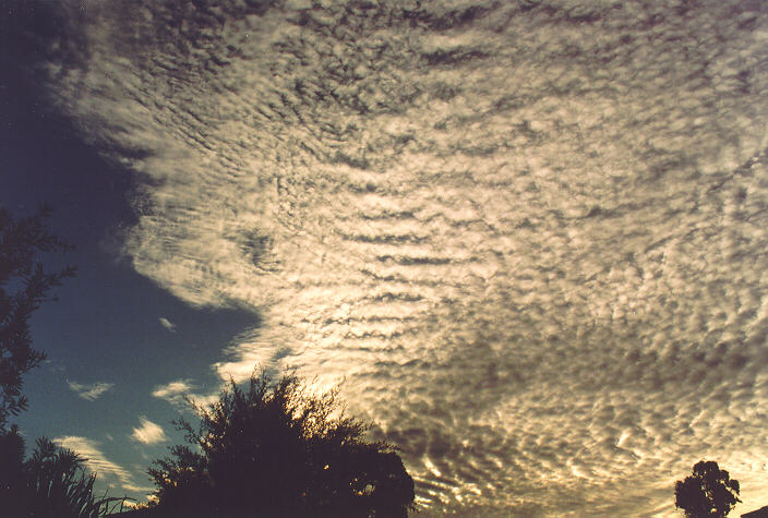 altocumulus mackerel_sky : Oakhurst, NSW   16 July 1995