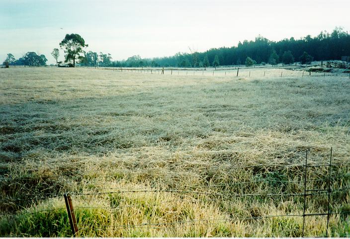 fogmist fog_mist_frost : Schofields, NSW   21 July 1995