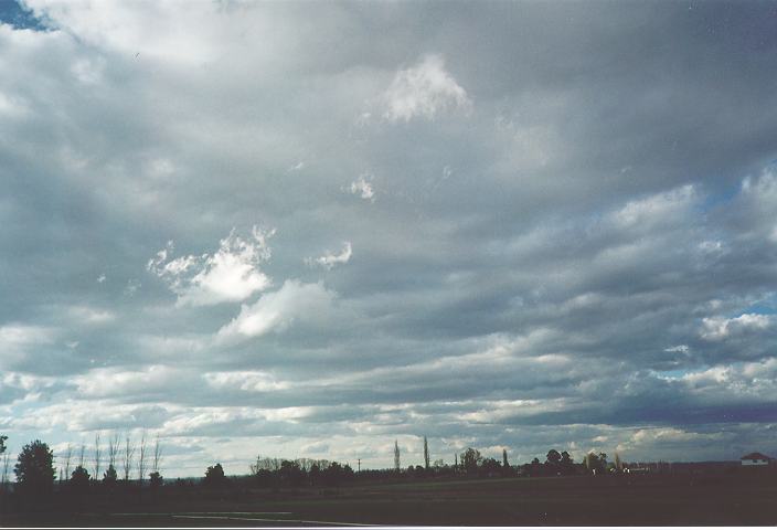 stratocumulus stratocumulus_cloud : Freemans Reach, NSW   5 September 1995