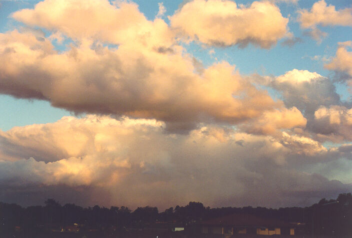 cumulus mediocris : Oakhurst, NSW   5 September 1995