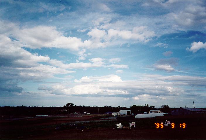 cumulus mediocris : Schofields, NSW   19 September 1995