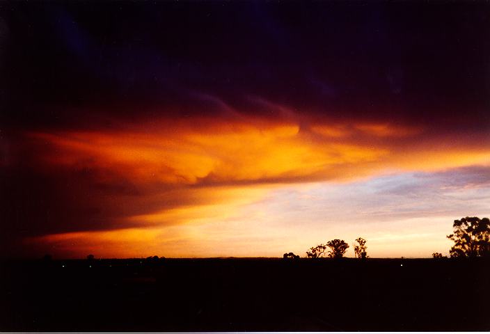 favourites jimmy_deguara : Schofields, NSW   20 September 1995