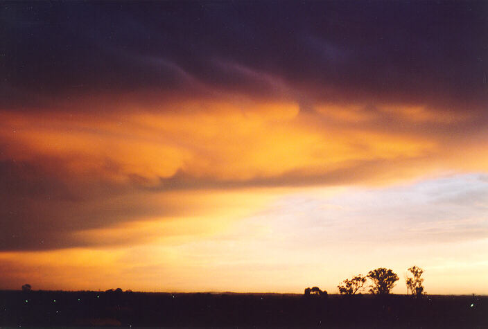 mammatus mammatus_cloud : Schofields, NSW   20 September 1995