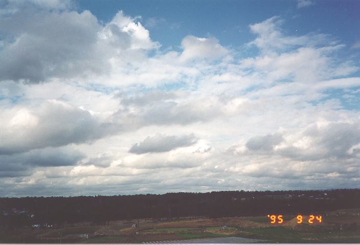 cumulus mediocris : Schofields, NSW   24 September 1995