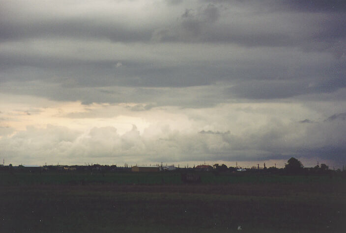 cumulus congestus : Freemans Reach, NSW   24 September 1995