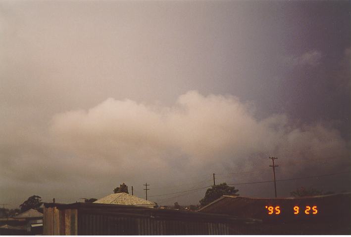 stratus stratus_cloud : Schofields, NSW   25 September 1995