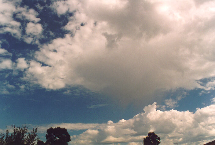 virga virga_pictures : Oakhurst, NSW   1 October 1995