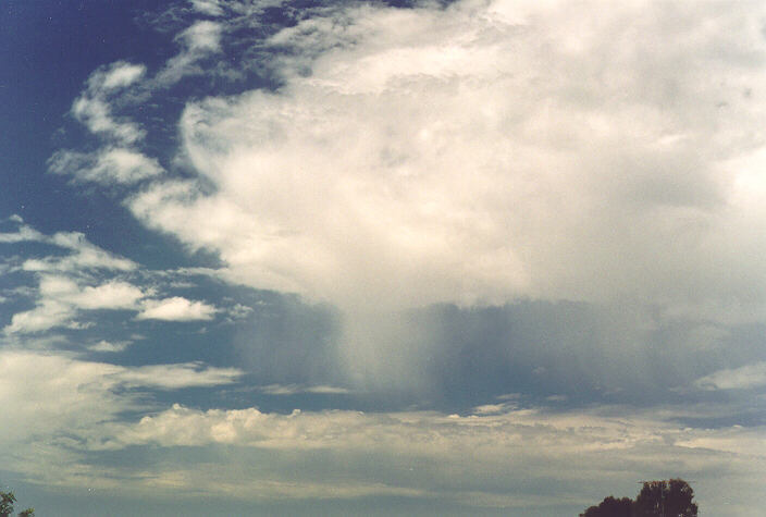 virga virga_pictures : Oakhurst, NSW   1 October 1995