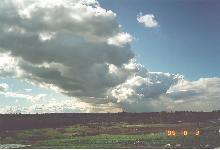 stratocumulus stratocumulus_cloud : Schofields, NSW   3 October 1995