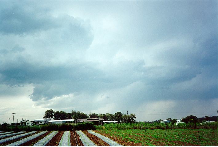 cumulonimbus thunderstorm_base : Schofields, NSW   28 October 1995