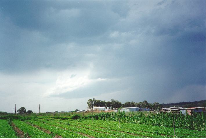 cumulonimbus thunderstorm_base : Schofields, NSW   28 October 1995