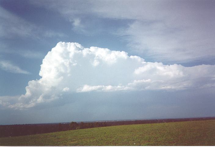 thunderstorm cumulonimbus_calvus : Rooty Hill, NSW   28 October 1995