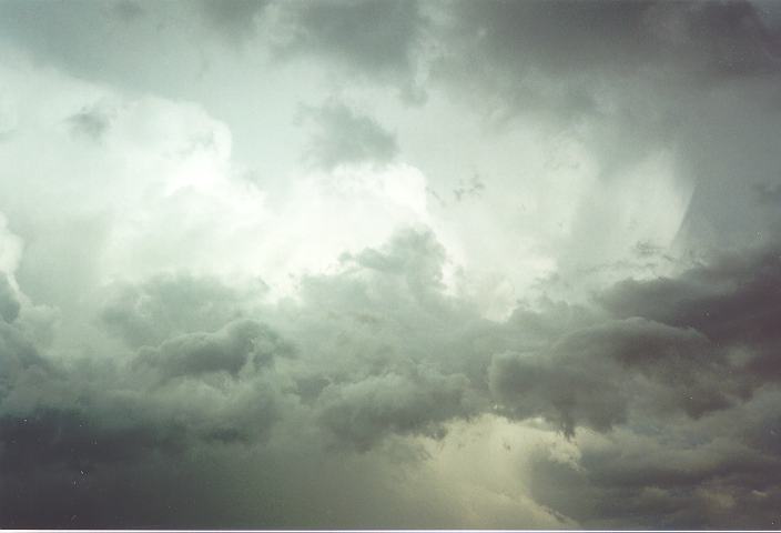 updraft thunderstorm_updrafts : Kemps Creek, NSW   28 October 1995