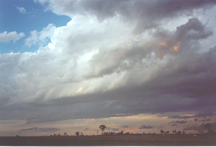 cumulus congestus : Quakers Hill, NSW   28 October 1995