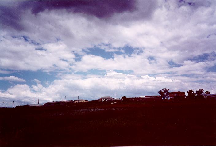 cumulus congestus : Schofields, NSW   5 November 1995