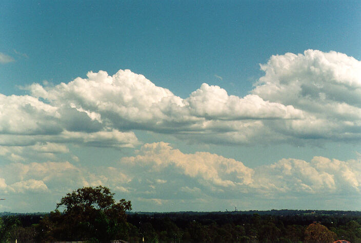 cumulus mediocris : Horsley Park, NSW   5 November 1995