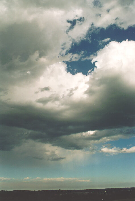 cumulus congestus : Schofields, NSW   5 November 1995