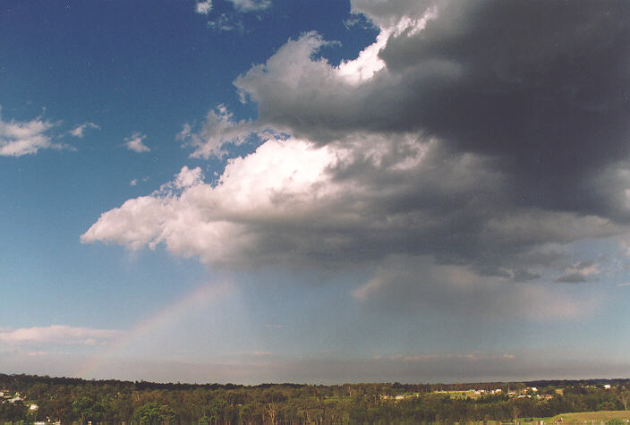 rainbow rainbow_pictures : Schofields, NSW   5 November 1995