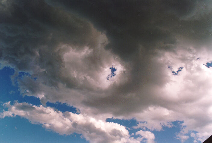 cumulus mediocris : Schofields, NSW   5 November 1995