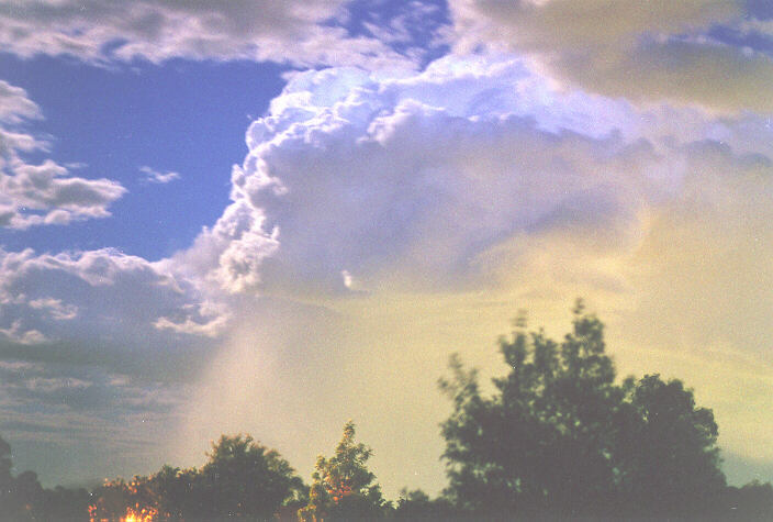 raincascade precipitation_cascade : Oakhurst, NSW   5 November 1995