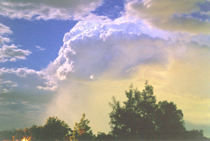 raincascade precipitation_cascade : Oakhurst, NSW   5 November 1995