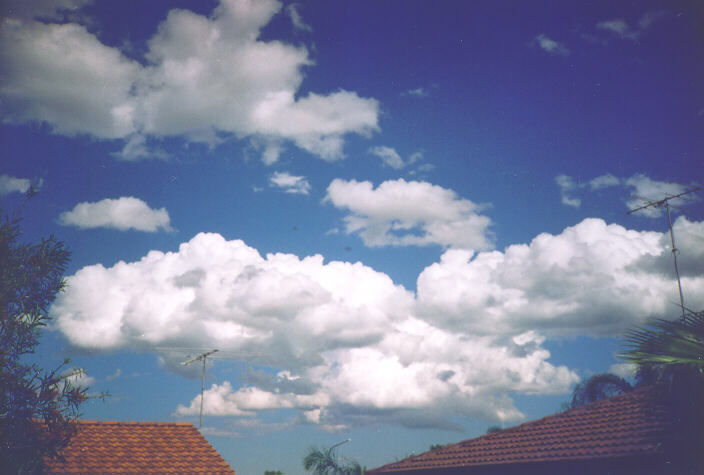 cumulus mediocris : Oakhurst, NSW   5 November 1995