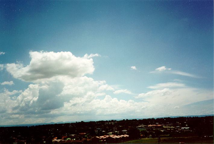 cumulus congestus : Rooty Hill, NSW   18 November 1995