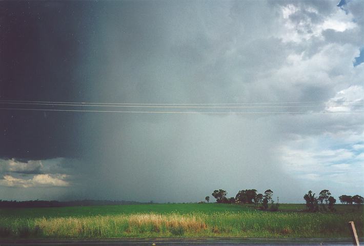 cumulonimbus thunderstorm_base : Cobbity, NSW   18 November 1995