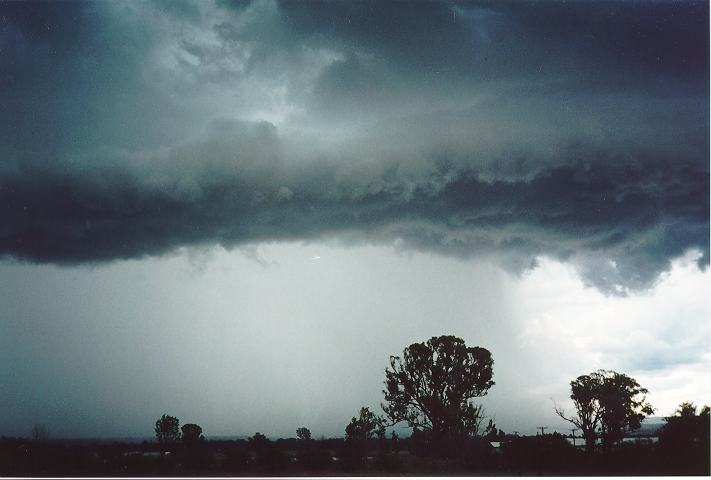 microburst micro_burst : Luddenham, NSW   18 November 1995