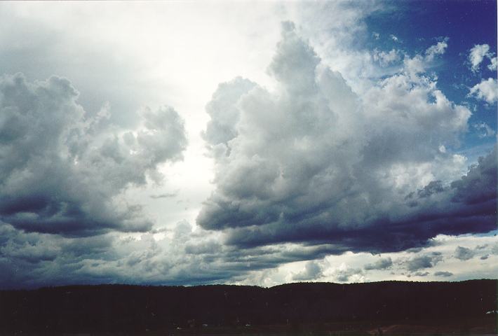 cumulus mediocris : Castlereagh, NSW   18 November 1995