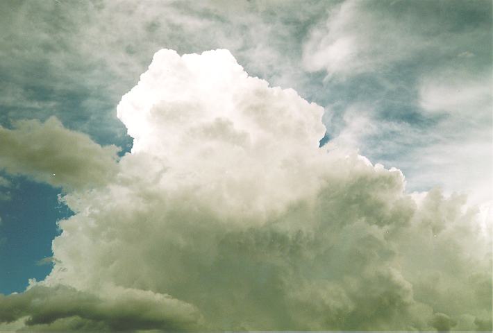 thunderstorm cumulonimbus_calvus : Castlereagh, NSW   18 November 1995