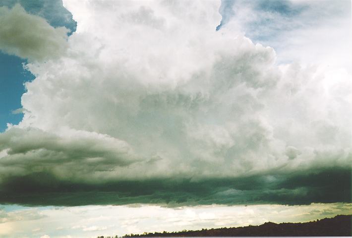 cumulonimbus thunderstorm_base : Castlereagh, NSW   18 November 1995