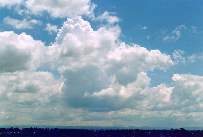 cumulus congestus : Rooty Hill, NSW   18 November 1995