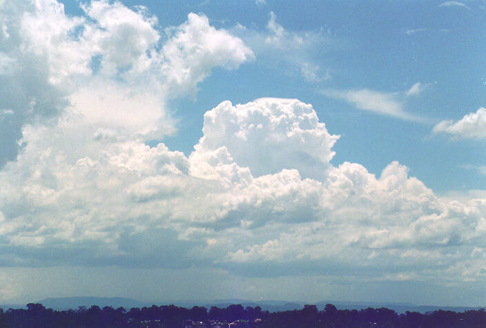 thunderstorm cumulonimbus_calvus : Rooty Hill, NSW   18 November 1995