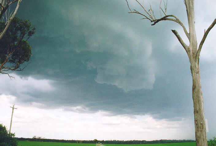 cumulonimbus thunderstorm_base : Cobbity, NSW   18 November 1995