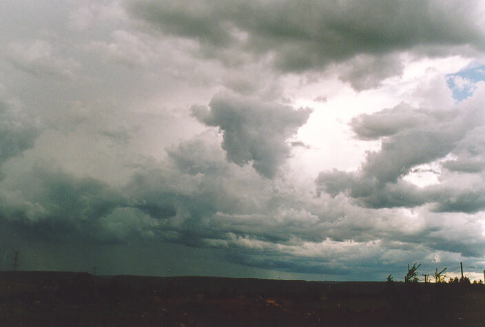 cumulus mediocris : Castlereagh, NSW   18 November 1995