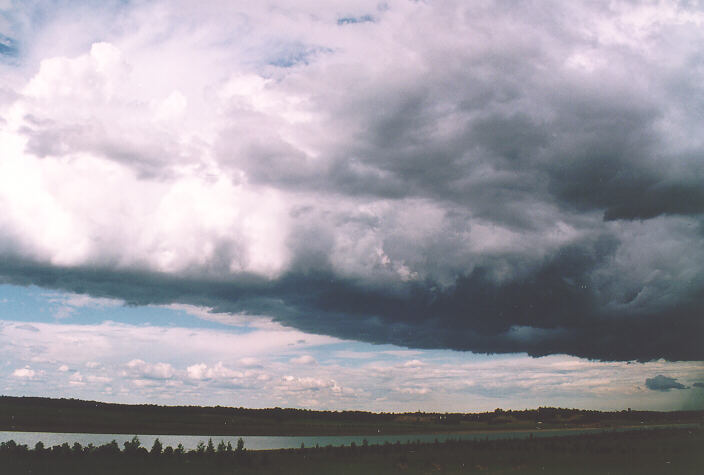 cumulus congestus : Castlereagh, NSW   18 November 1995