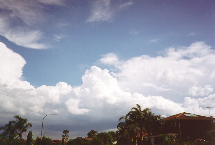 cumulus congestus : Oakhurst, NSW   18 November 1995