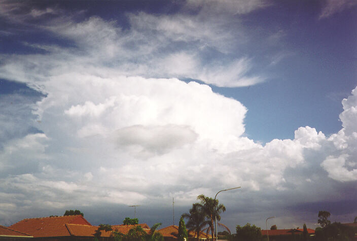 thunderstorm cumulonimbus_incus : Oakhurst, NSW   18 November 1995